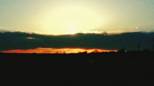 Silhouette of trees at sunset