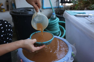 Squeezing tamarind water ingredients for process of making indigo dye , thai nature dye