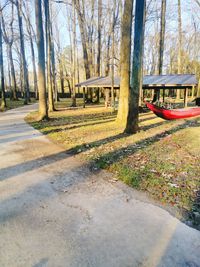 Trees by grass against sky