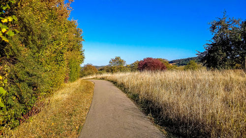 Footpath amidst plants on field against sky