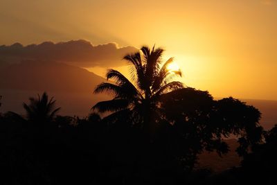 Silhouette trees against sky during sunset