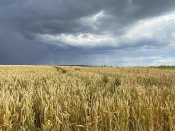 Scenic view of field against cloudy sky