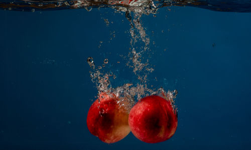 Close-up of peaches in water