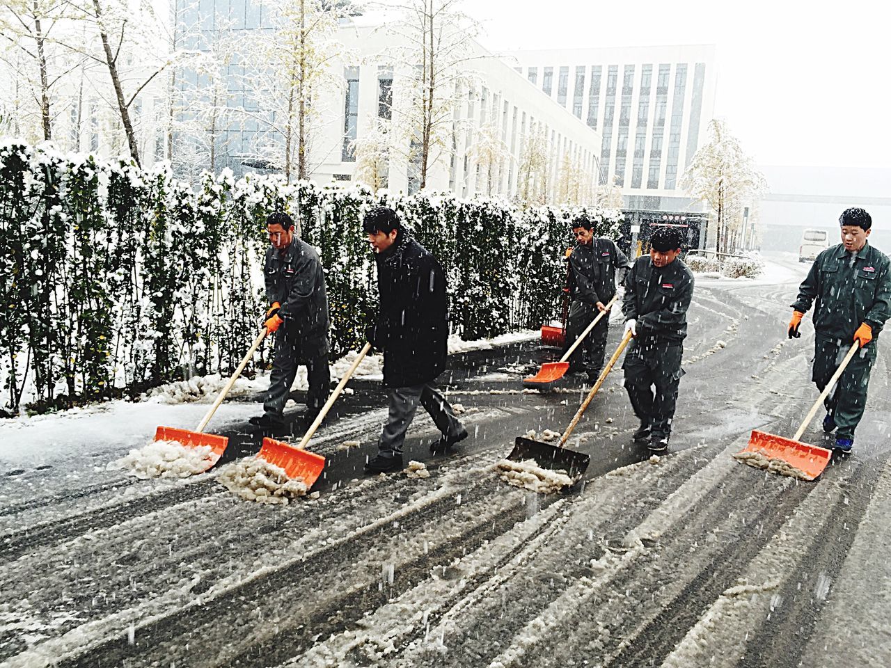 lifestyles, men, snow, winter, leisure activity, cold temperature, large group of people, season, person, weather, transportation, medium group of people, full length, warm clothing, rear view, walking, travel, mode of transport, day