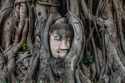 Statue of buddha against trees