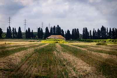 Panoramic shot of field against sky