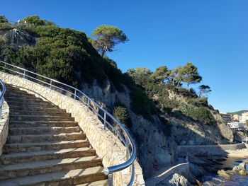 Steps by tree against clear blue sky