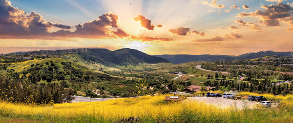 Aliso viejo wilderness park view with wild flowers from the top hill in aliso viejo, california.