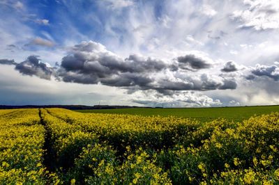 Scenic view of field against cloudy sky