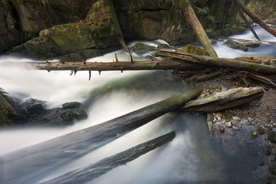 Scenic view of river by trees