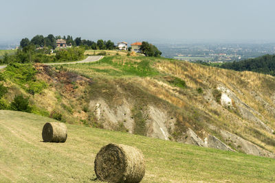 Scenic view of field against clear sky