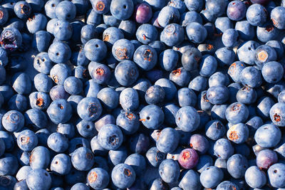 Full frame shot of blueberries