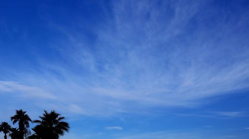 Low angle view of silhouette palm trees against blue sky