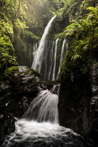 Scenic view of waterfall in forest