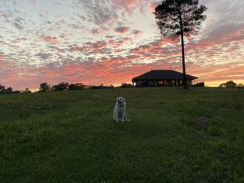 Building on field against sky during sunset