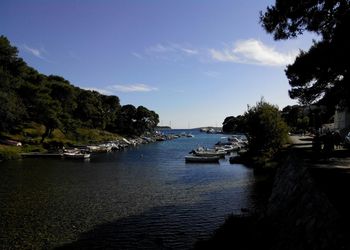 Boats on river by trees against sky