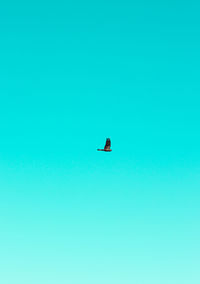 Low angle view of tree against blue sky