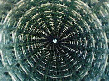 Full frame shot of pattern