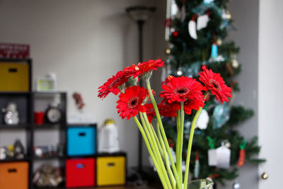 Close-up of red flowers in vase at home