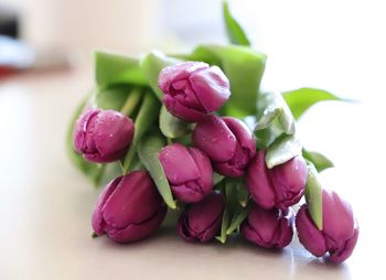 Close-up of pink flowers on table