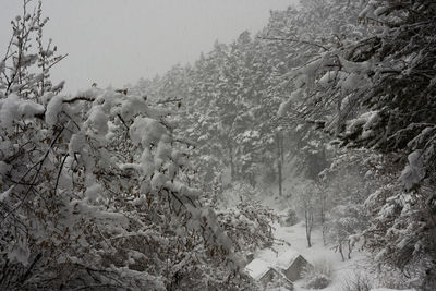 Scenic view of snow covered mountain