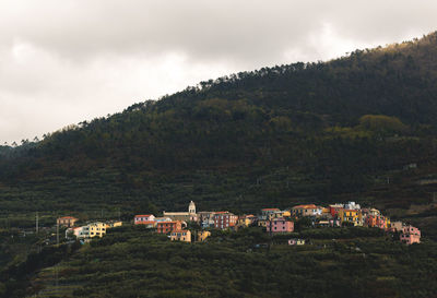 Low angle view of houses in town