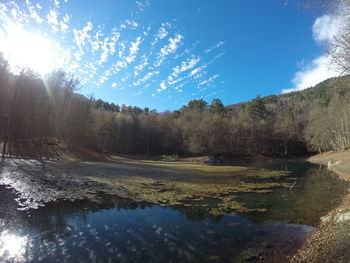 Reflection of trees in lake against sky