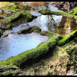 Stream flowing through rocks