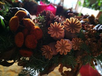 Close-up of orange flowers