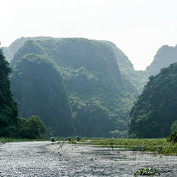 Scenic view of river amidst trees against sky