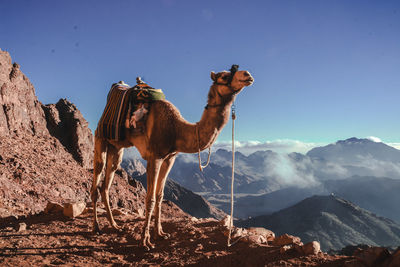 Scenic view of mountains against clear sky