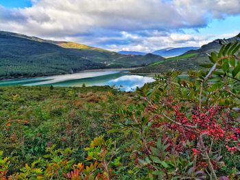 Scenic view of landscape against sky