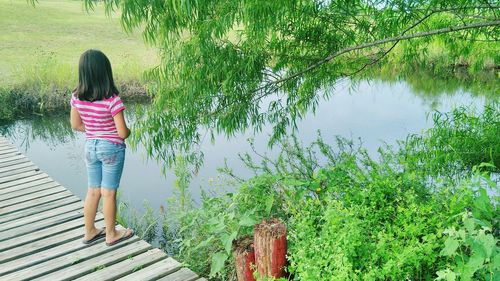 Rear view of woman standing by tree