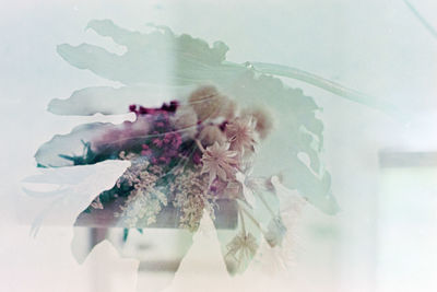Digital composite image of flowers on glass window