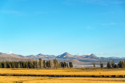 Scenic view of landscape