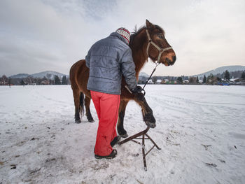 Full length of a horse standing on snow covered land