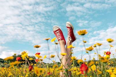 Close-up of yellow flowering plants on field against sky