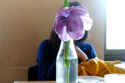 Close-up of flowers in vase