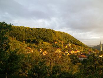 Scenic view of trees and buildings against sky