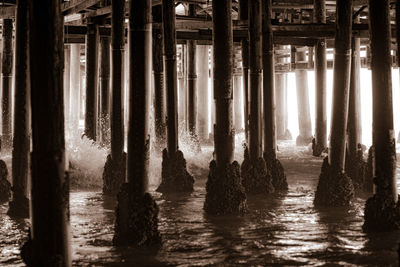 Enjoying the view from under the santa monica pier, santa monica beach, ca. 