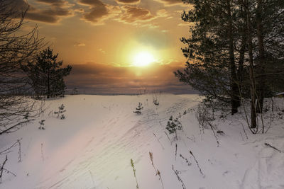 Scenic view of snow covered field against sky at sunset