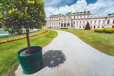 Potted plants in garden