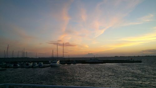 Sailboats in marina at sunset