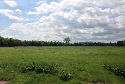 Scenic view of grassy field against cloudy sky