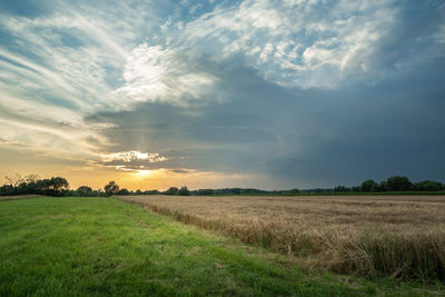 Scenic view of agricultural field against sky during sunset