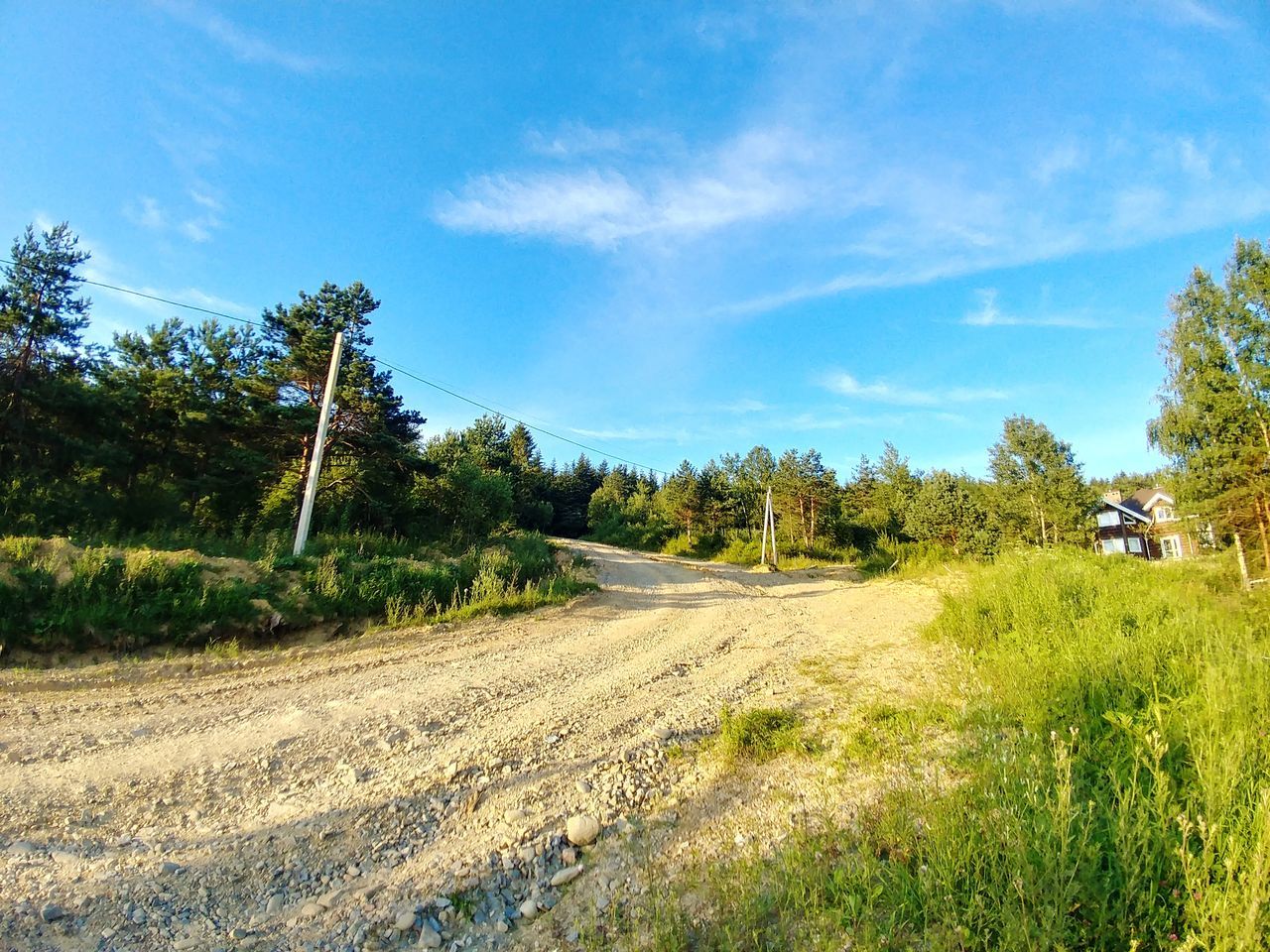 tree, plant, sky, land, road, environment, nature, transportation, landscape, tranquil scene, scenics - nature, beauty in nature, blue, tranquility, grass, cloud - sky, growth, sunlight, non-urban scene, day, no people, outdoors