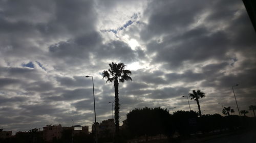 Low angle view of silhouette palm trees against dramatic sky