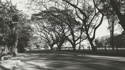 Road amidst trees in park against sky