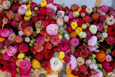 High angle view of multi colored roses