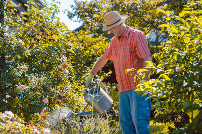 Man working on plant